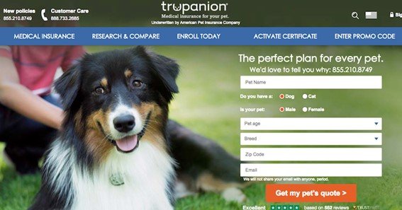 trupanion login