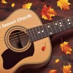 stick season chords